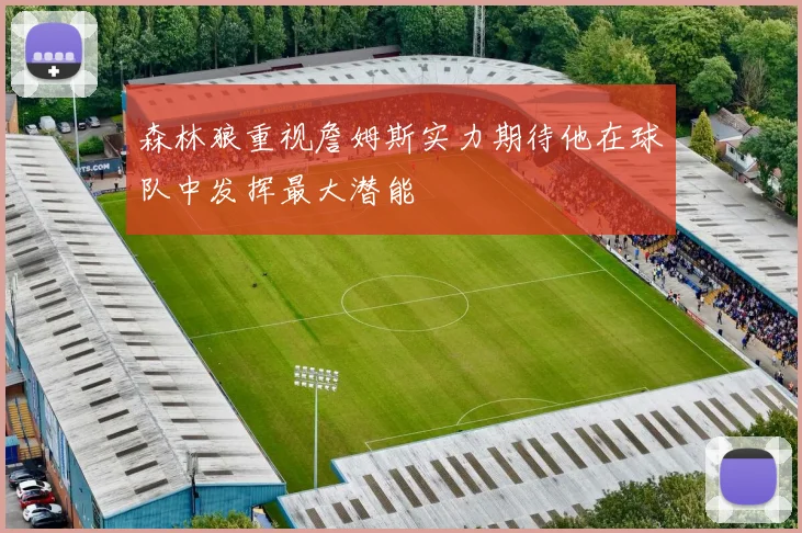 森林狼重视詹姆斯实力期待他在球队中发挥最大潜能